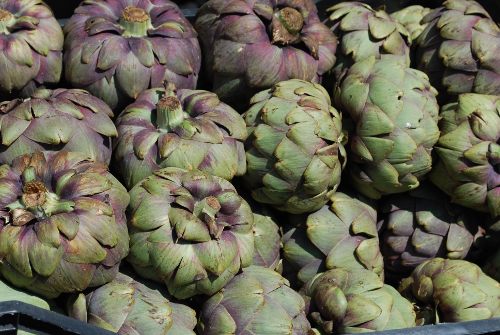 Artichokes