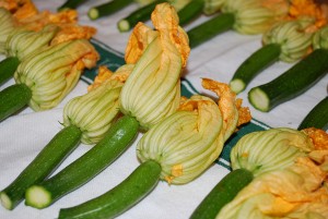 Picture of Squash Blossoms