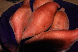 Picture of garnet yams