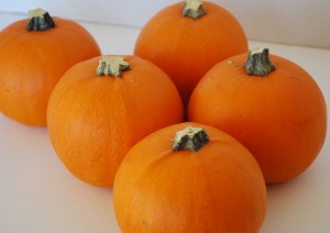 Picture of Miniature Pumpkins
