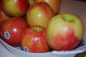 Picture of Apples for Apple Sauce