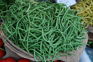 Picture of Haricorverte aka French Green Beans