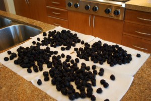 Picture of Blackberries Drying