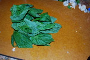 Picture of Basil Leaves