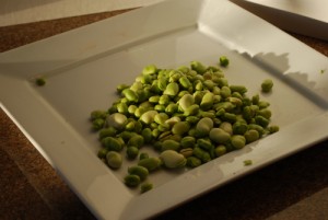 Picture of Shelled Fava Beans