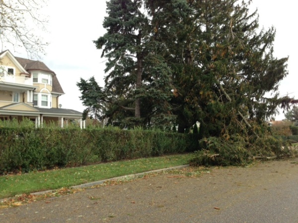 hurricane Sandi 3