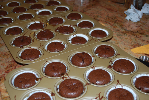 chocolate mini cakes 009
