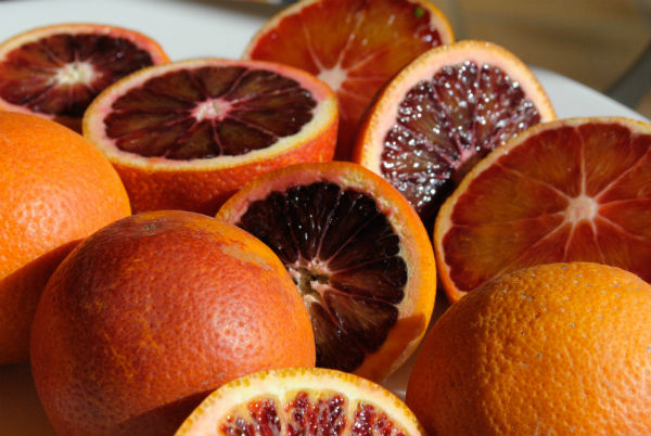 Blood ORanges 023