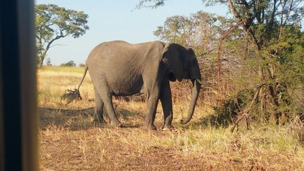 20150220_082630_resized tanzania